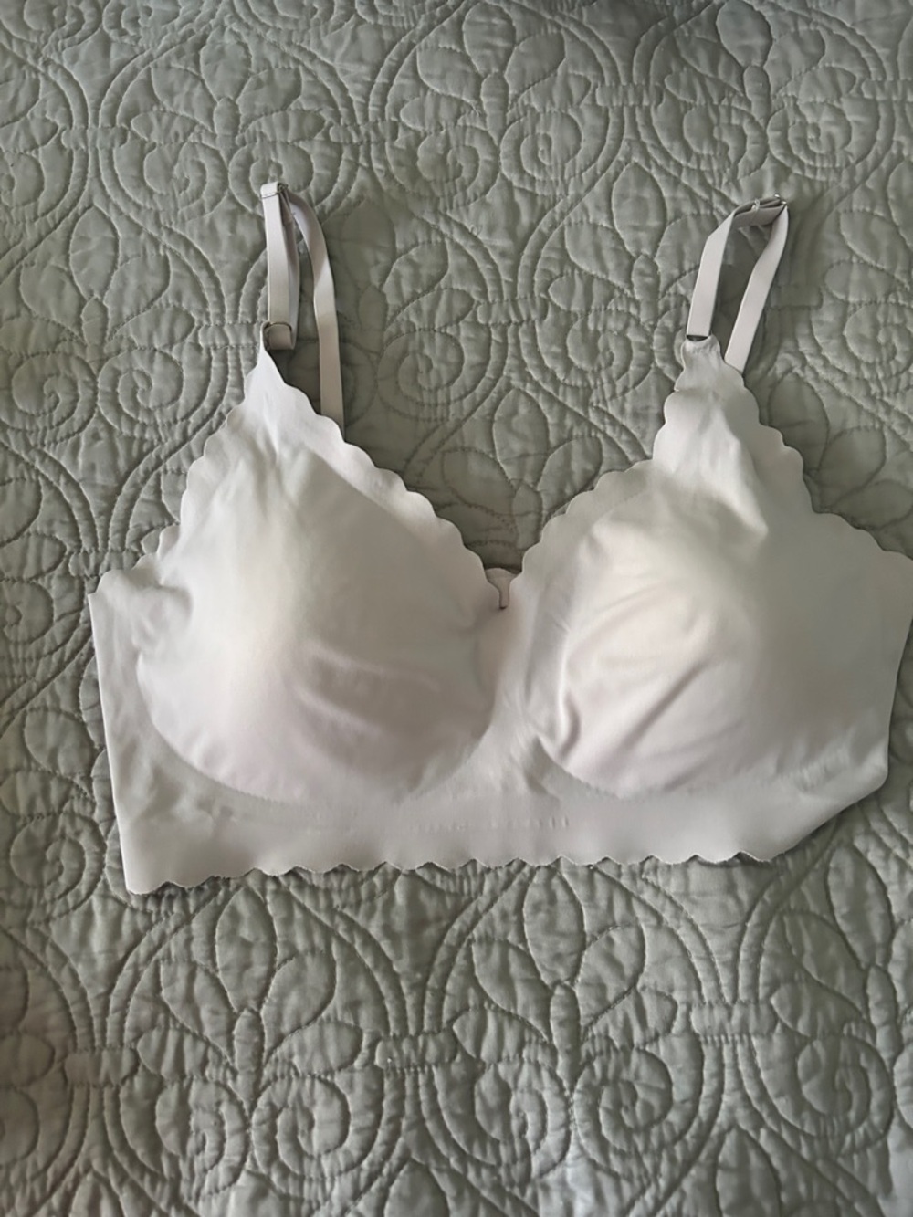 Seamless Scallop Edge lavender Bra